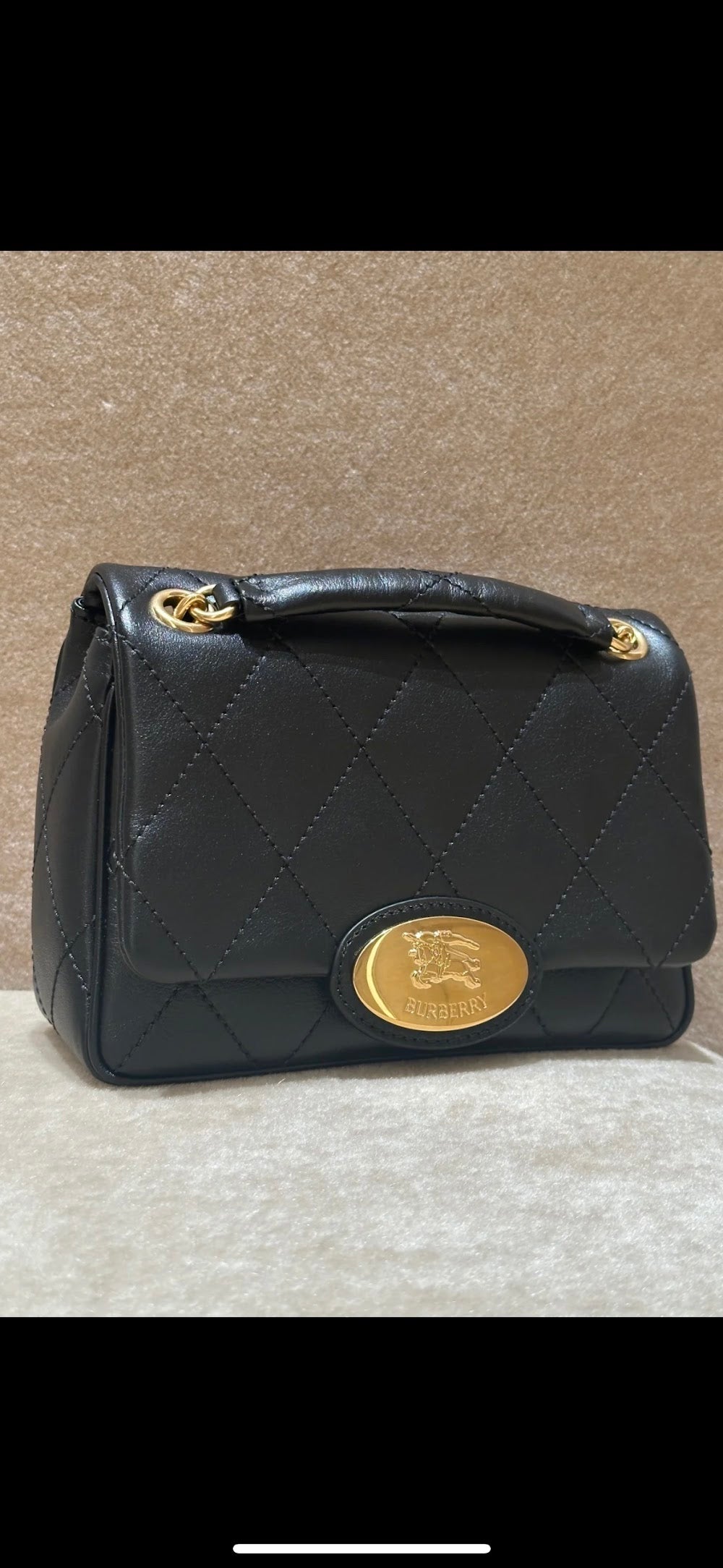 Dragons Bags Burberryn Luxury Bag --92328