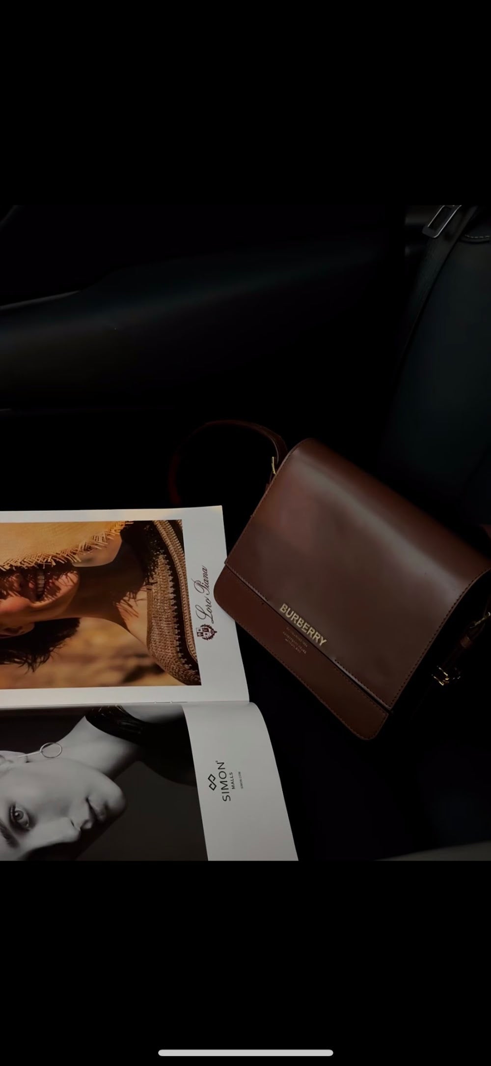 Dragons Bags Burberryn Luxury Bag --91669