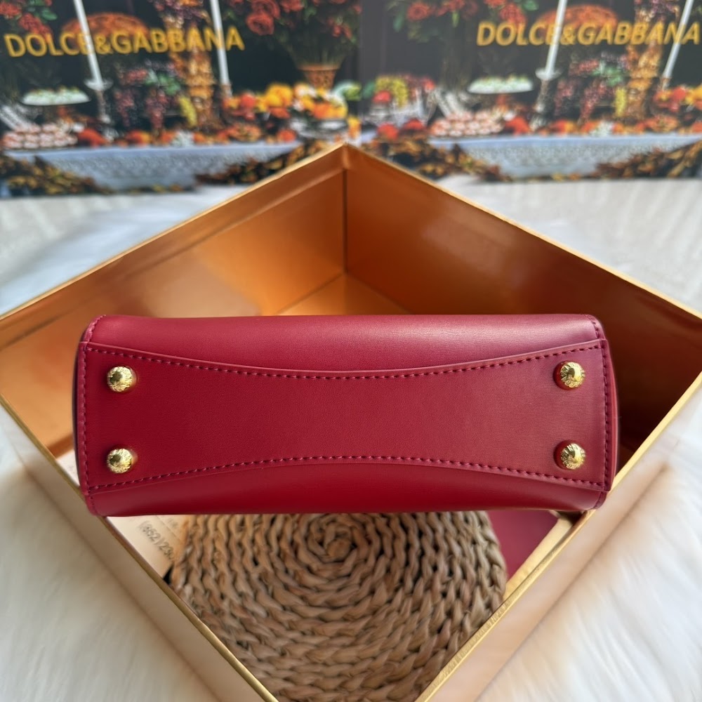 Dragons Bags DGn Luxury Bag --94065
