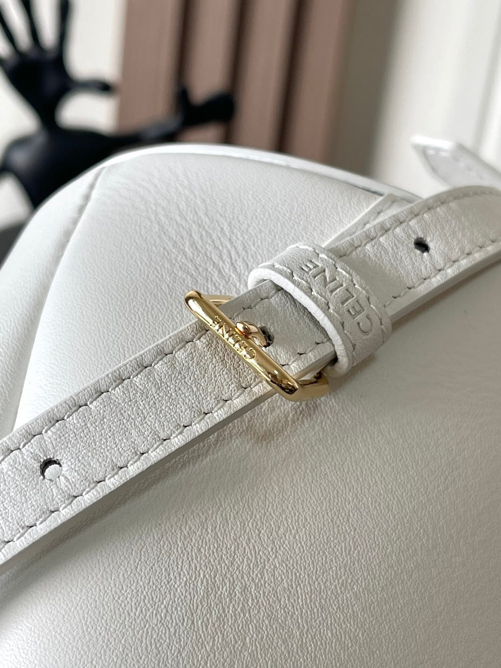 Dragons Bags Celine Luxury Bag --112105