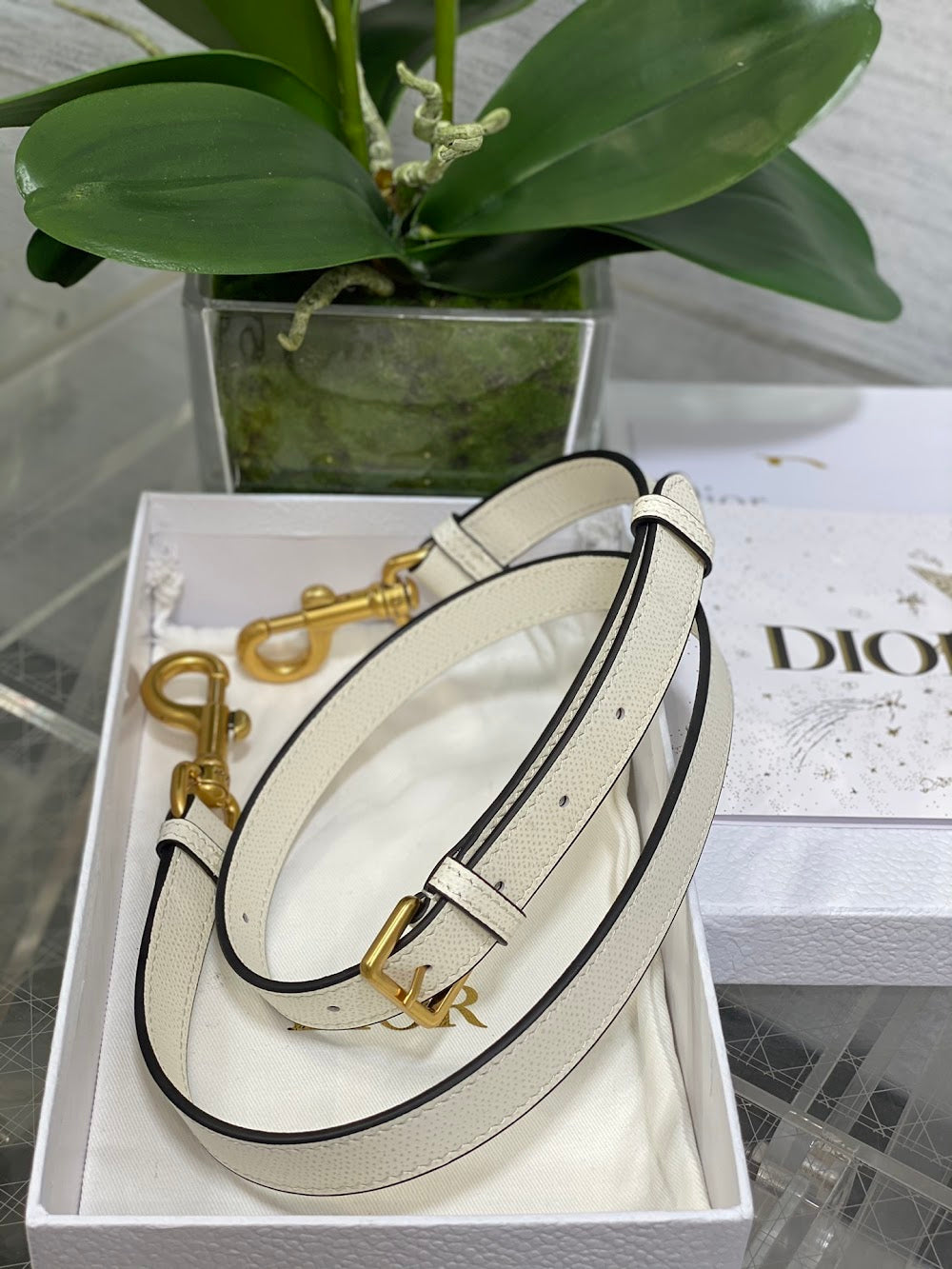 Dragons BagsDiorn Luxury Bag --114994