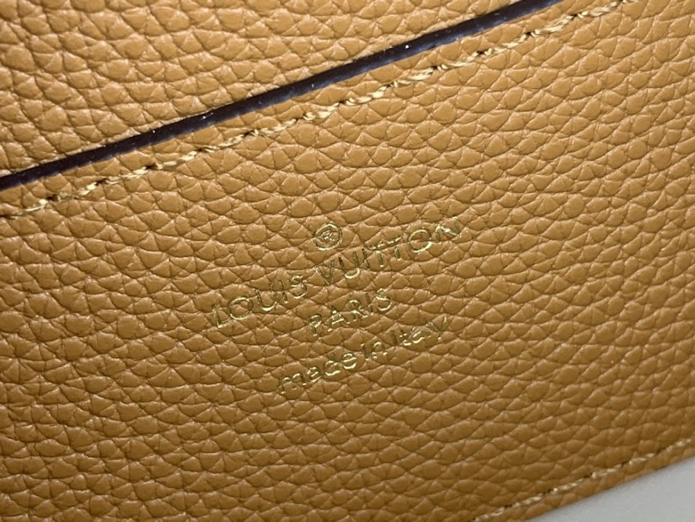 Dragons Bags LV Luxury Bag --55728