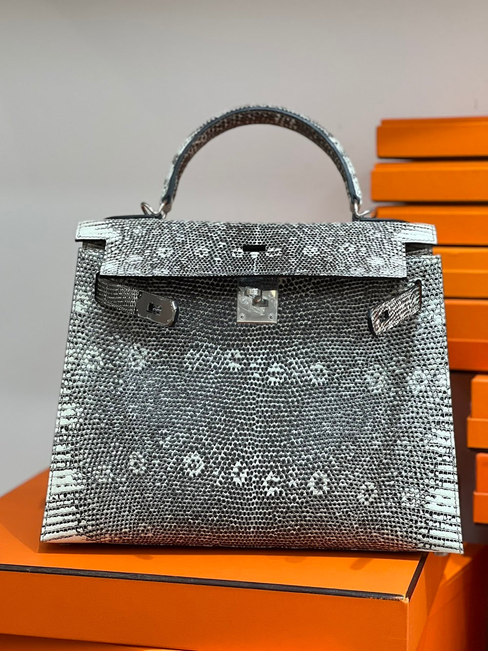 Dragons BagsHermesn Luxury Bag --117123