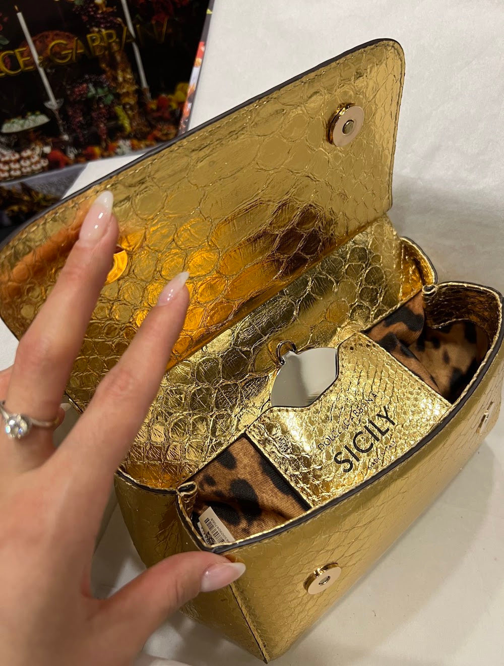 Dragons Bags DGn Luxury Bag --93286