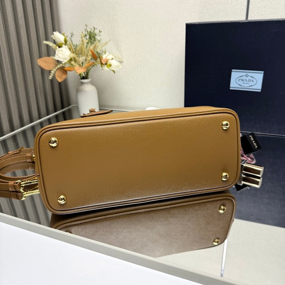 Dragons Bags Pradn Luxury Bag --102313