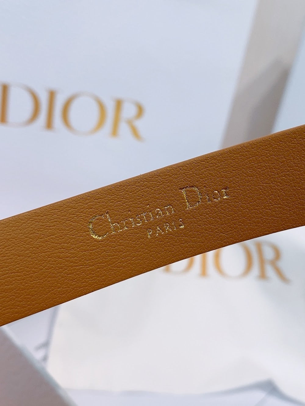 Dragons Bags Diorn Luxury Belt --104964