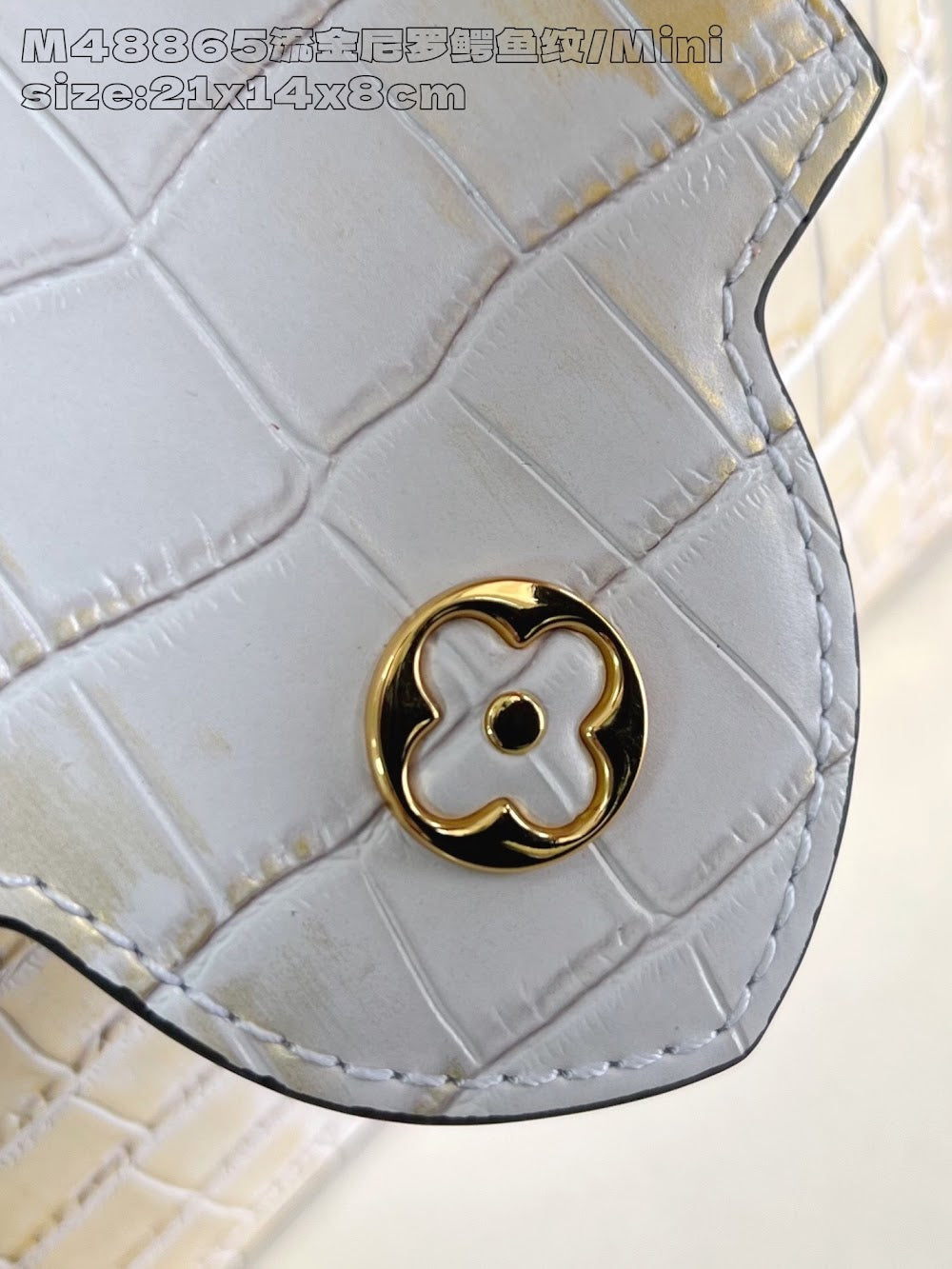 Dragons Bags ln Luxury Bag --95732