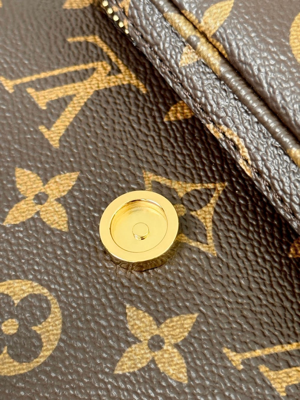 Dragons Bags ln Luxury Bag --97351