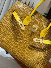 new-elite-designer-bags-nm9205