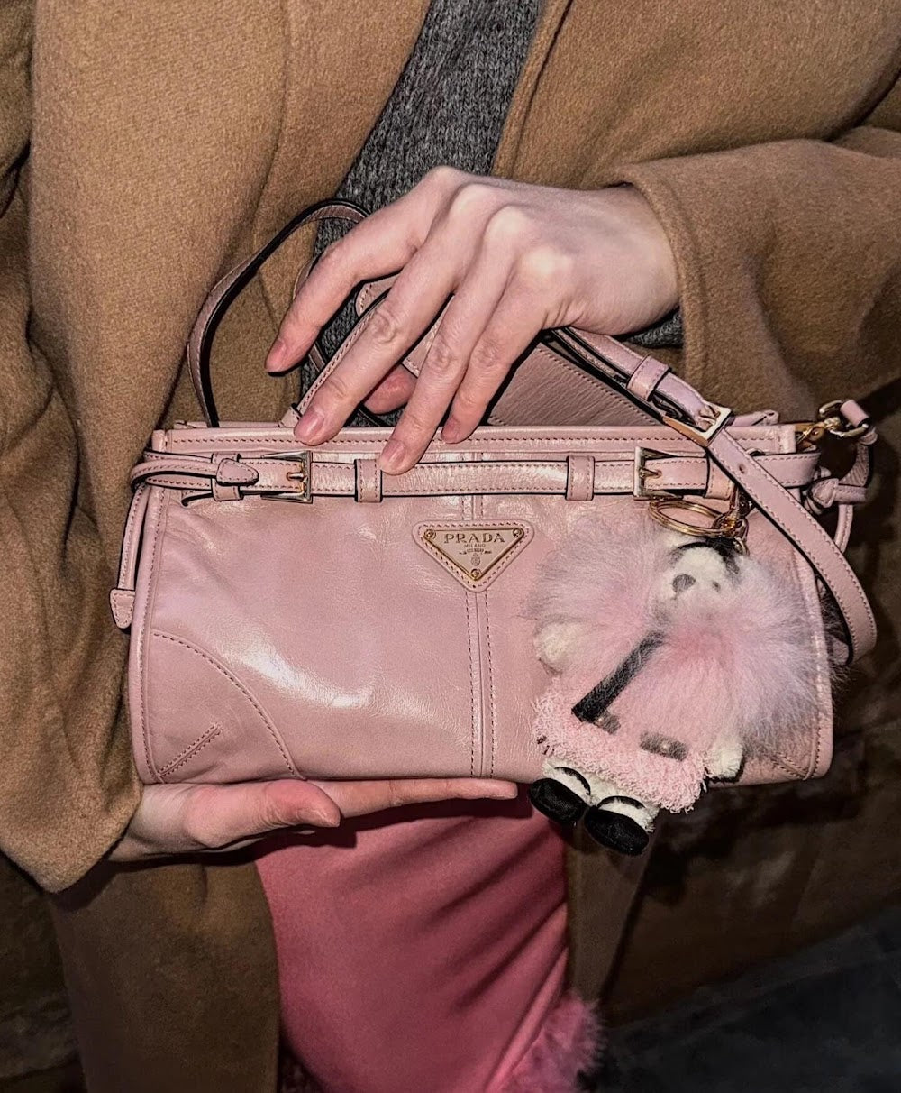 Dragons Bags Pradn Luxury Bag --101572