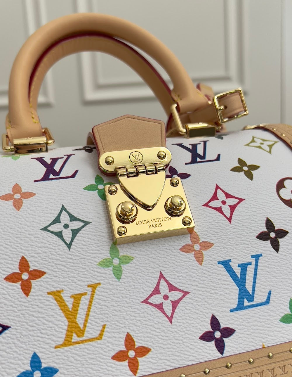 Dragons Bags LVn Luxury Bag --79511
