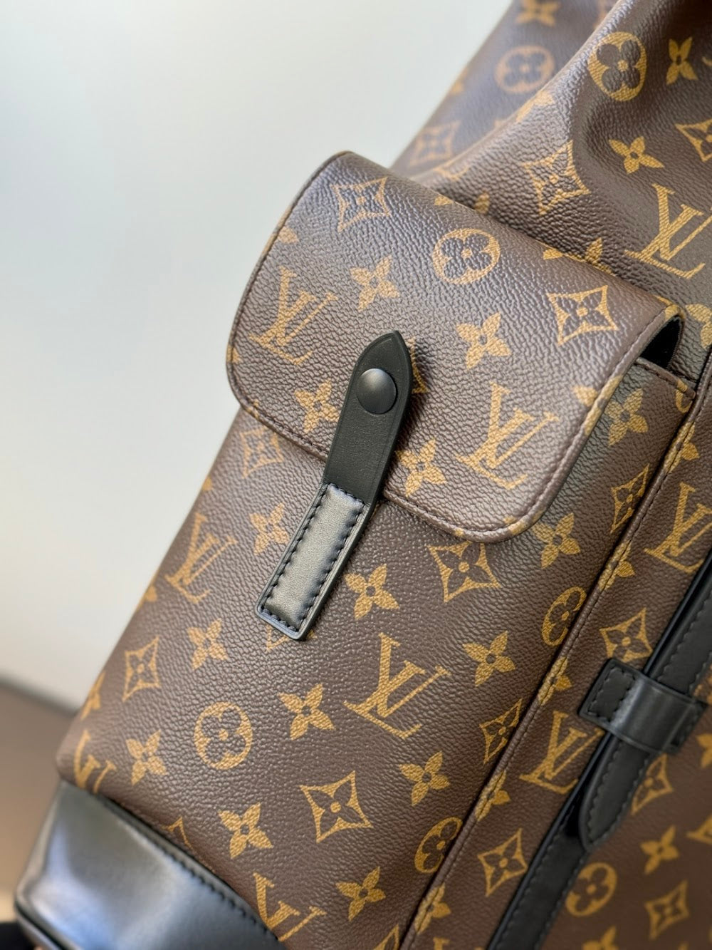 Dragons Bags ln Luxury Bag --96214