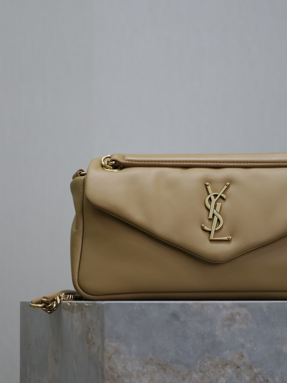 Dragons Bags YSLn Luxury Bag --119376