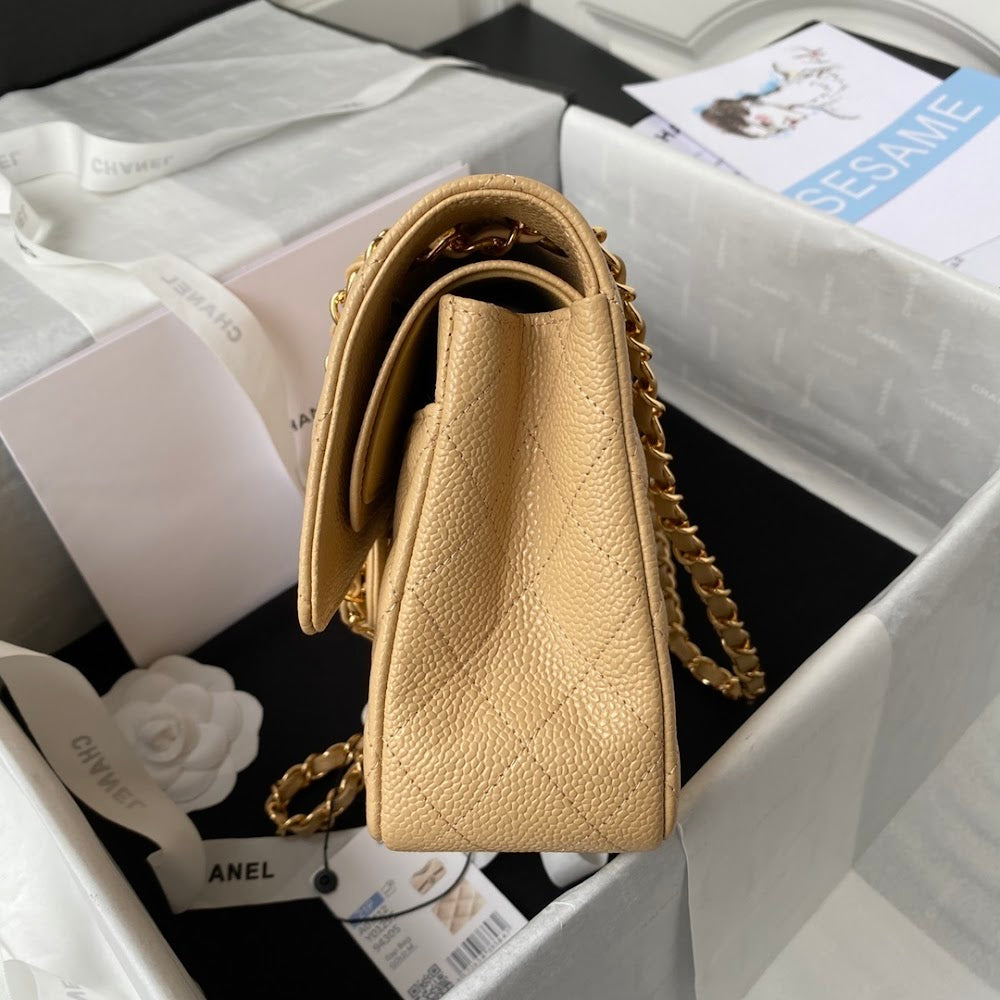 new-luxury-designer-bags-nm10096