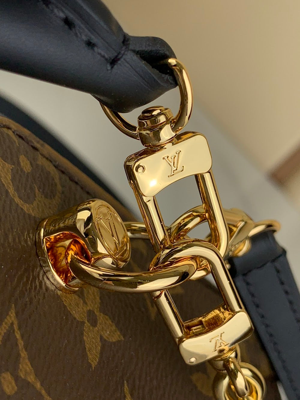 Dragons Bags ln Luxury Bag --68850