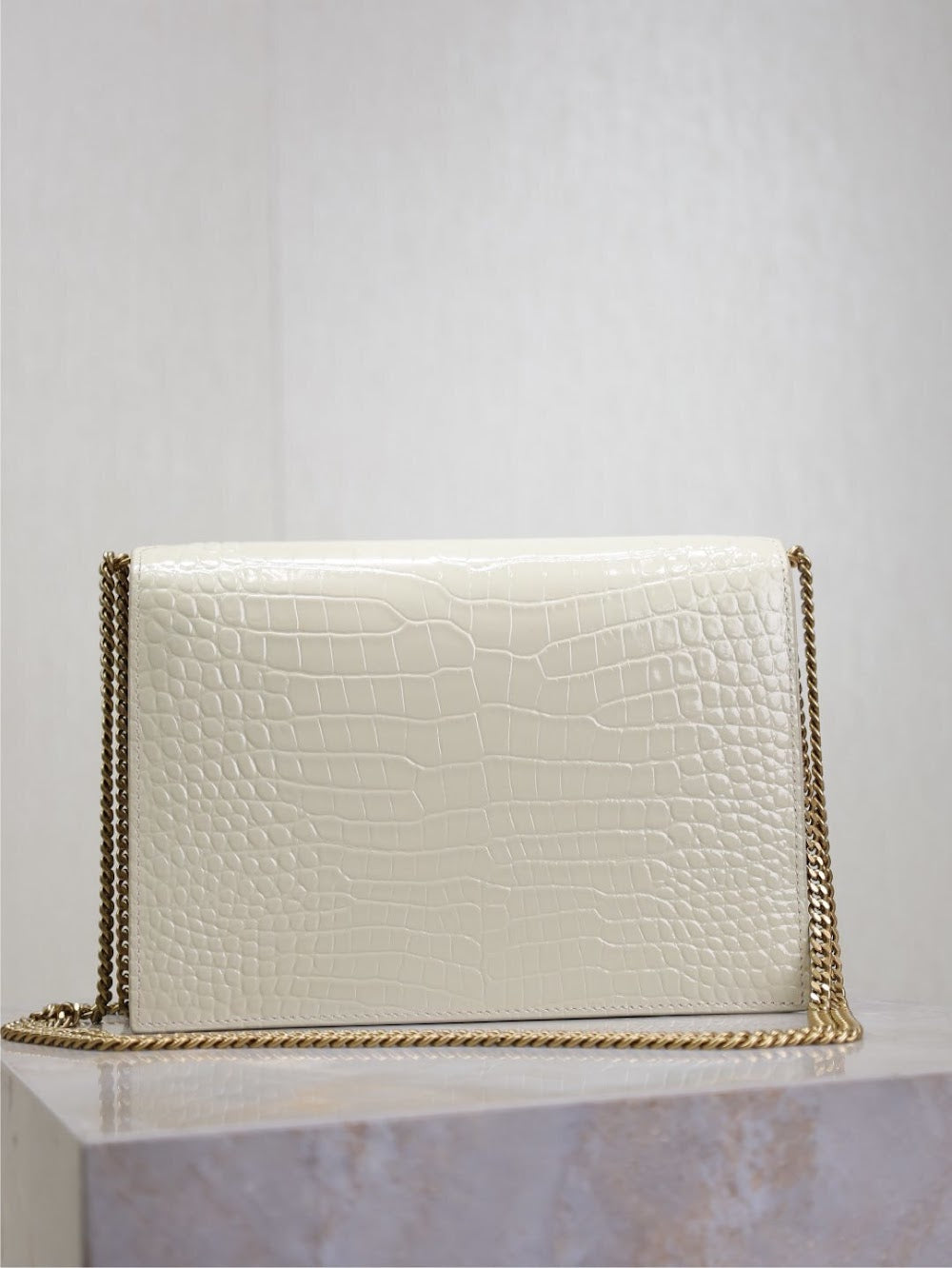 Dragons Bags YSLn Luxury Bag --120698