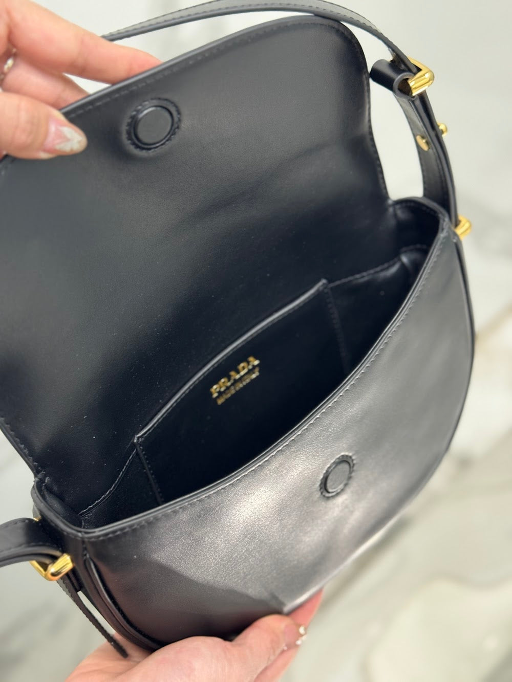 Dragons Bags Pradn Luxury Bag --102090