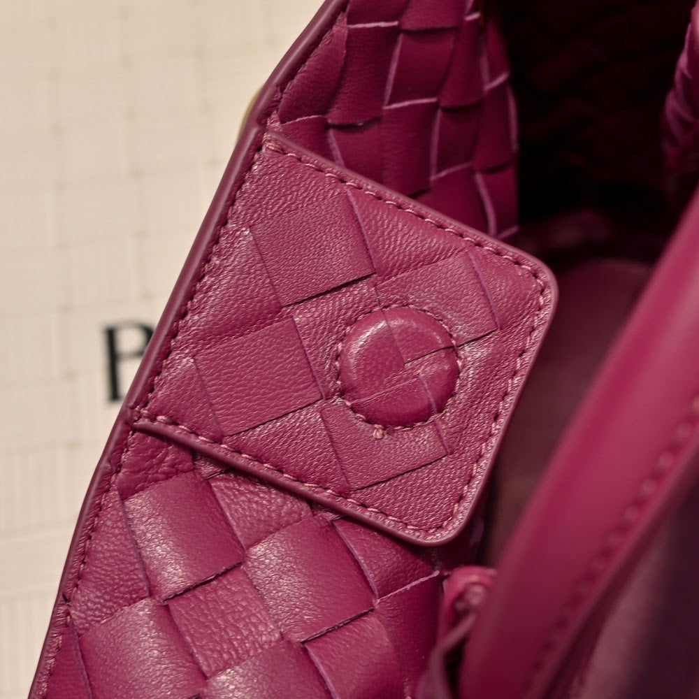 Dragons Bags Bottegan Luxury Bag --90128