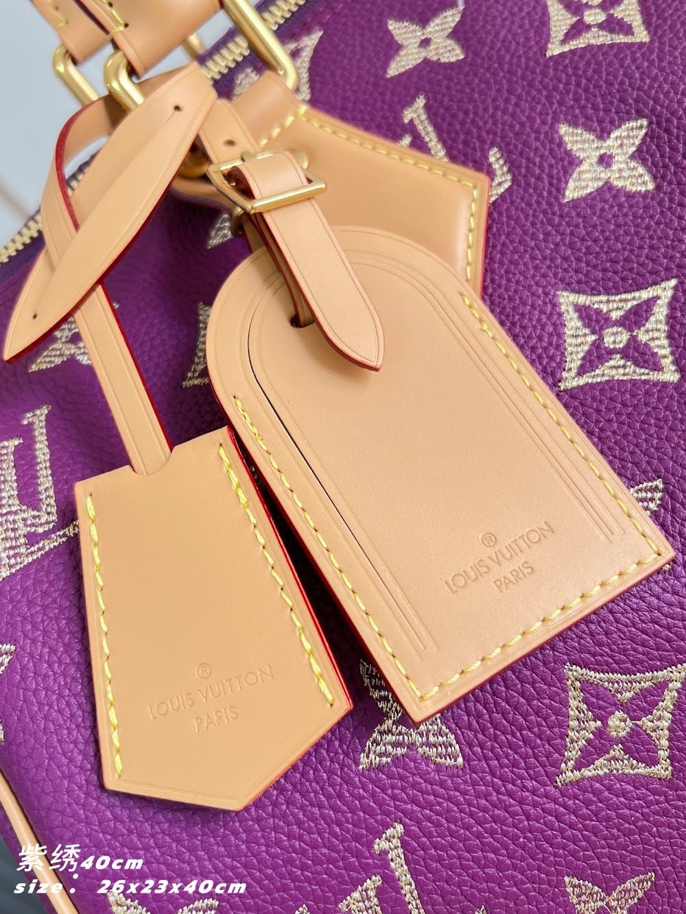 Dragons Bags ln Luxury Bag --95983