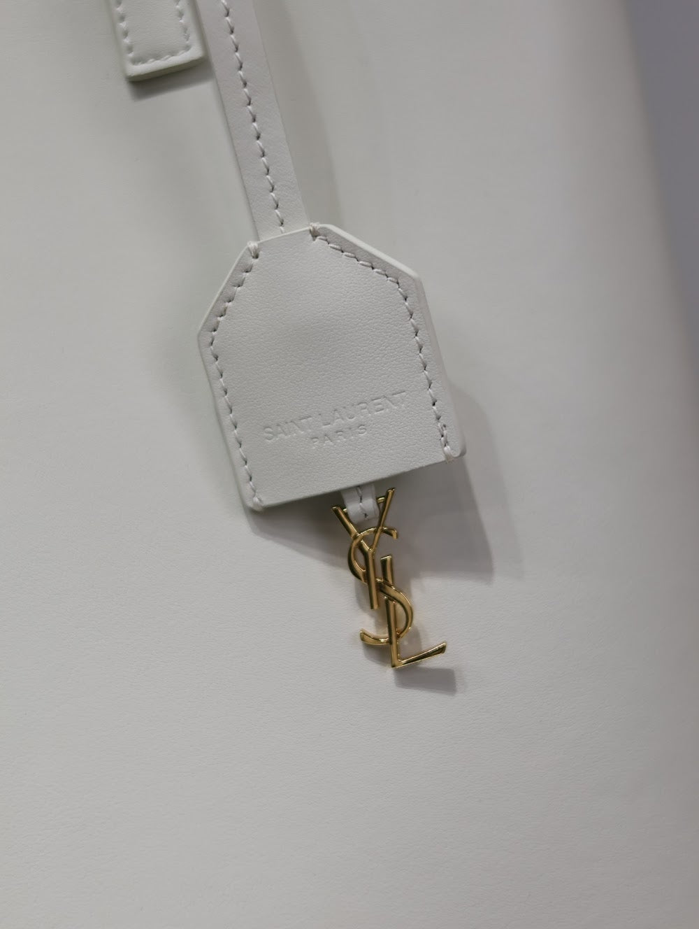 Dragons Bags YSLn Luxury Bag --119261