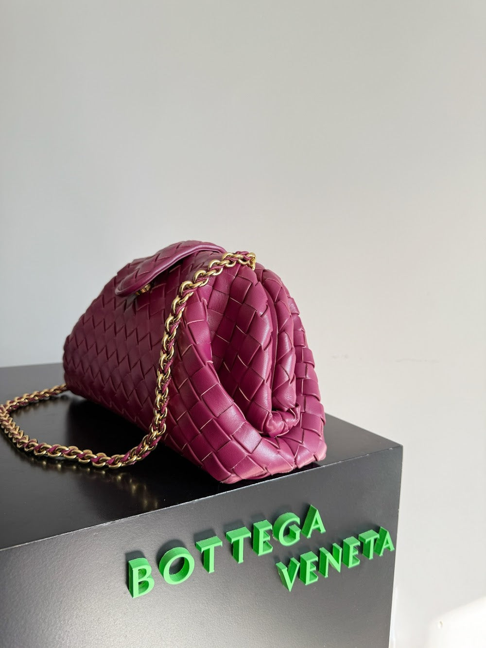 Dragons Bags Bottegan Luxury Bag --91301