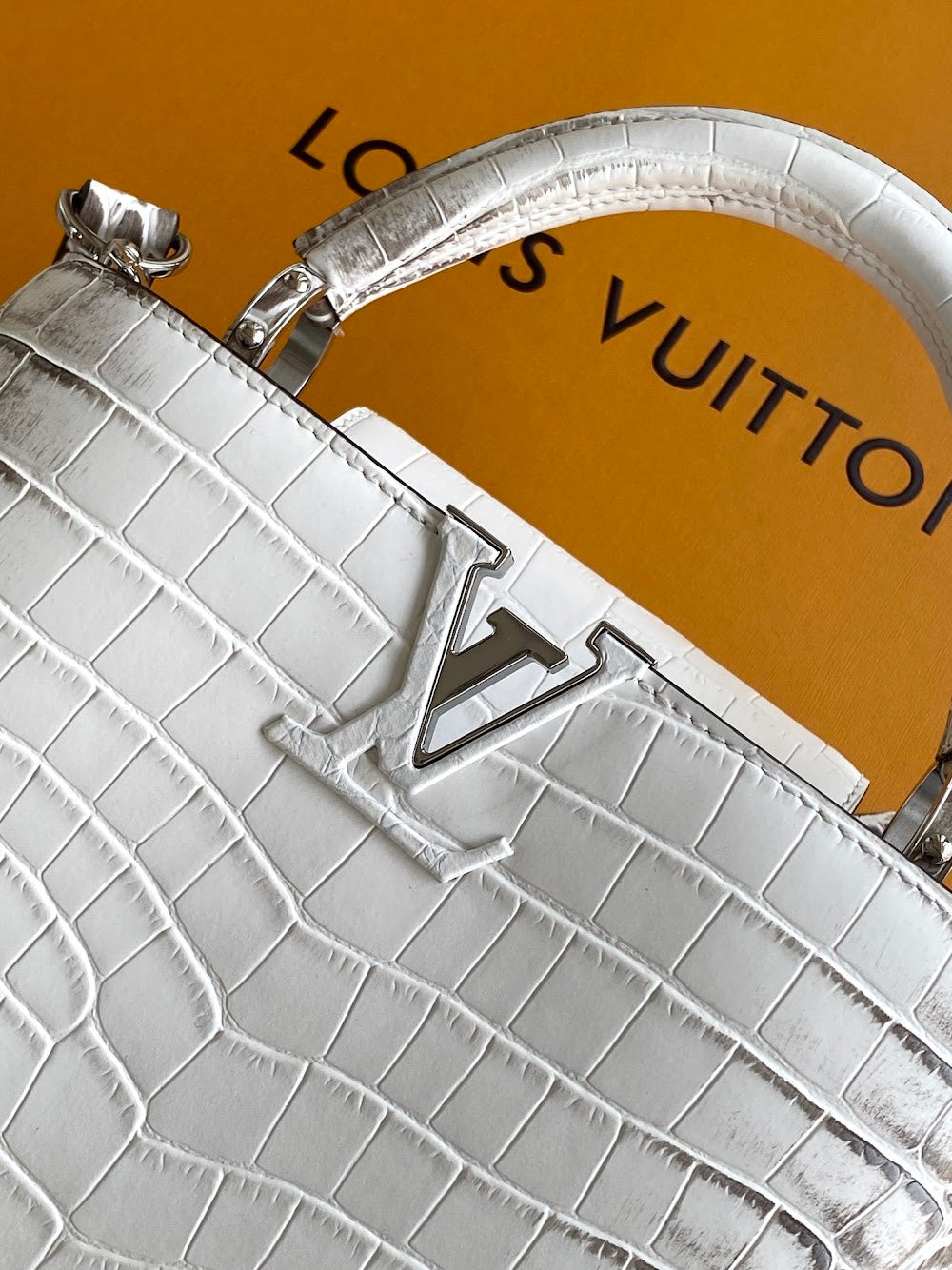 Dragons Bags ln Luxury Bag --96257