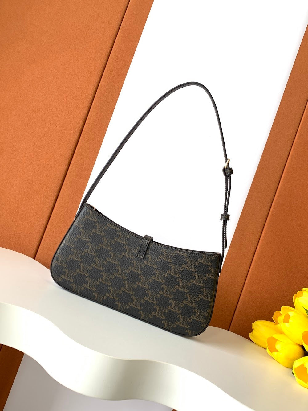Dragons Bags Celine Luxury Bag --112197