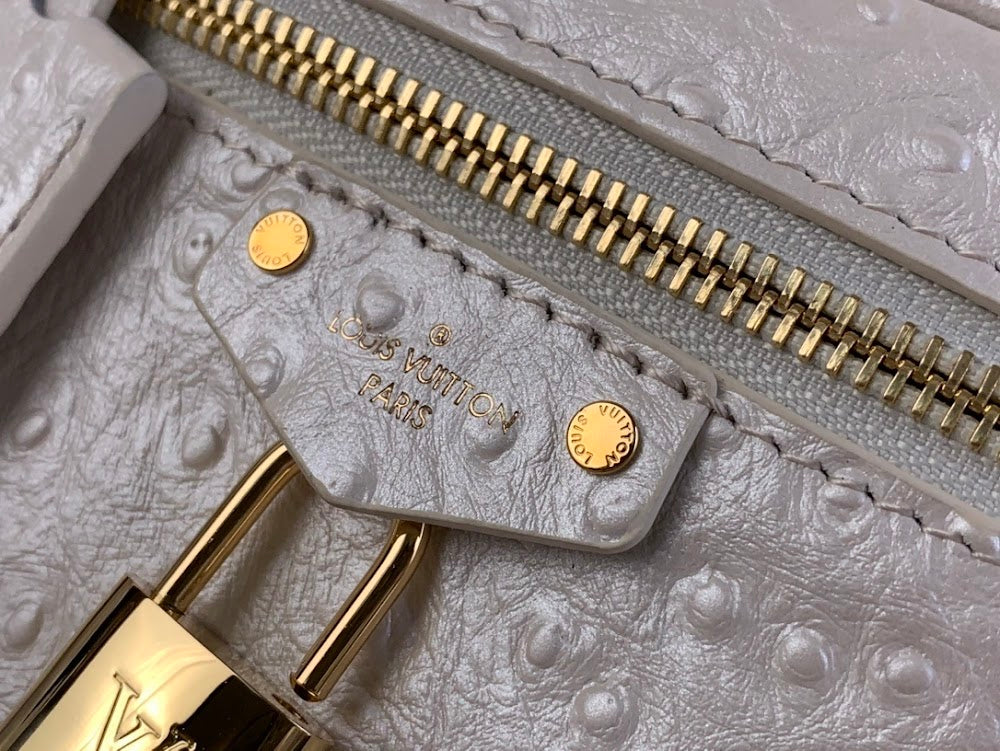 Dragons Bags ln Luxury Bag --58255