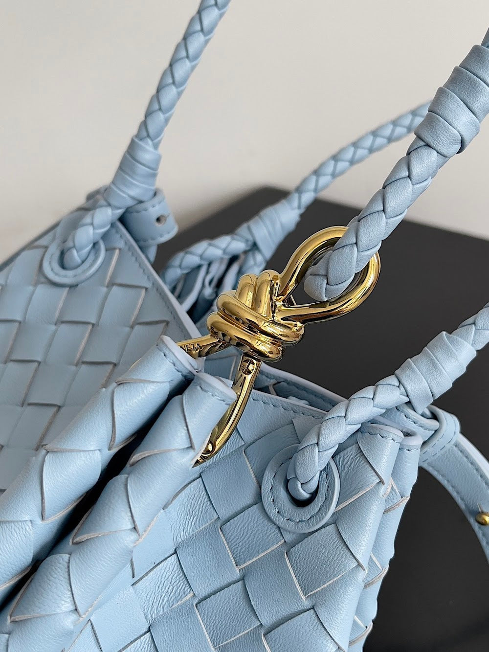 Dragons Bags Bottegan Luxury Bag --91115