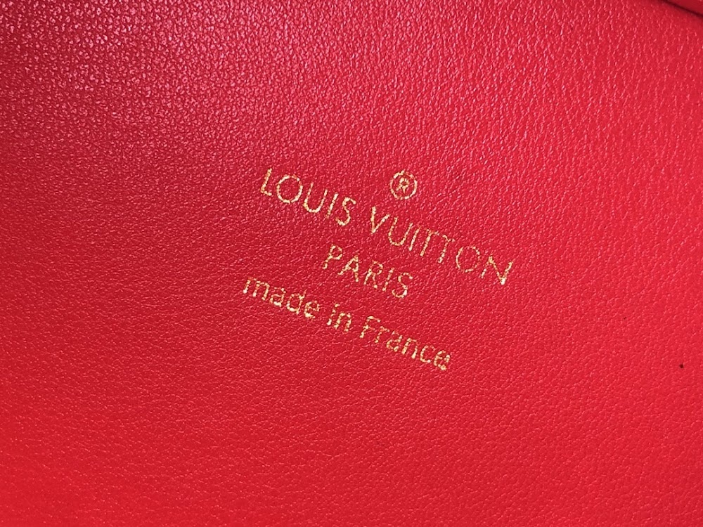 Dragons Bags ln Luxury Bag --58041