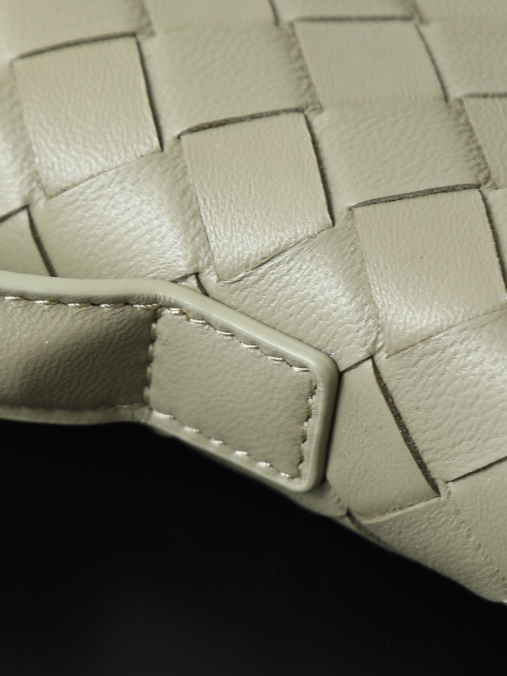 Dragons Bags Bottegan Luxury Bag --91402