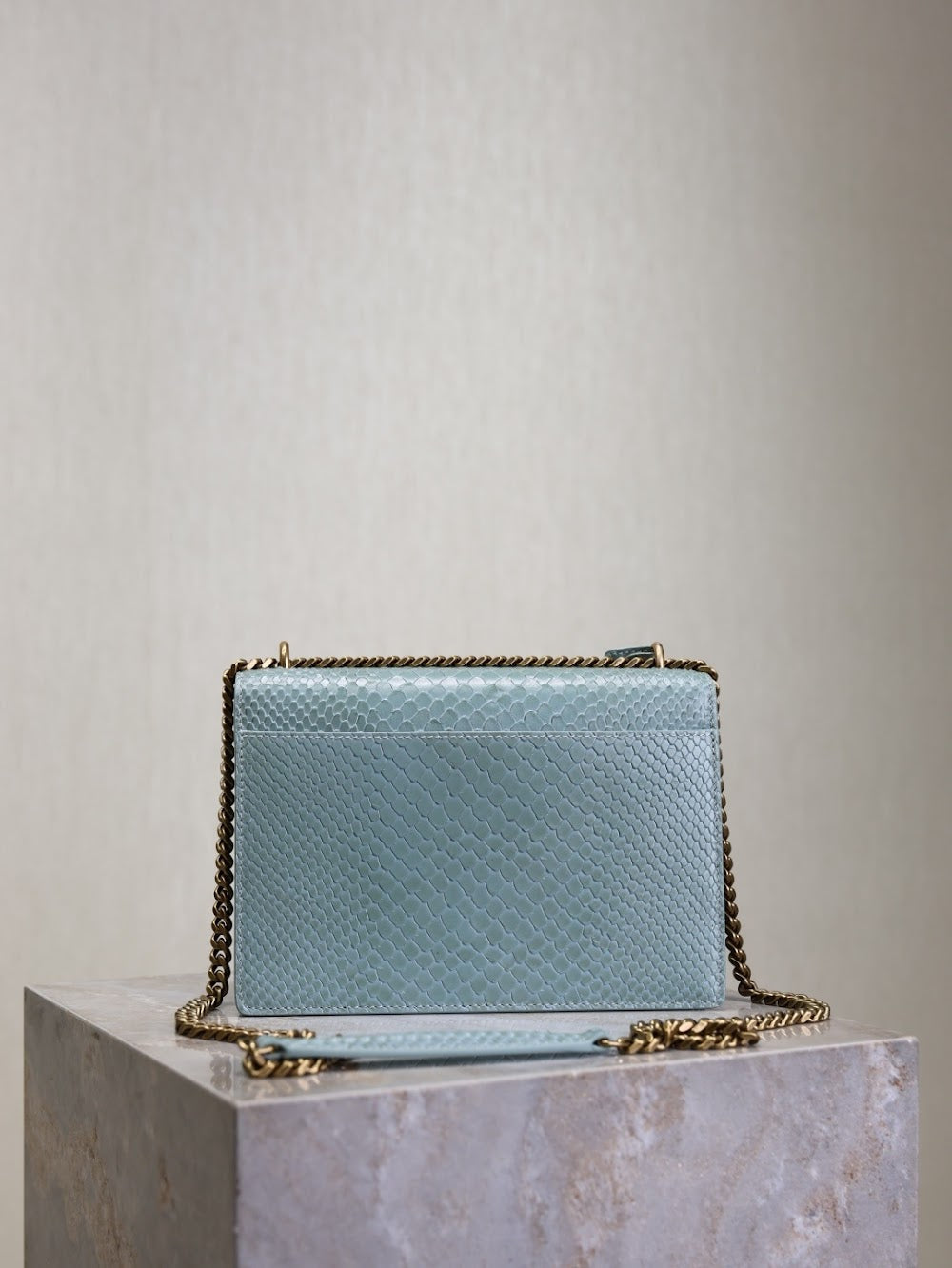 Dragons Bags YSLn Luxury Bag --119172