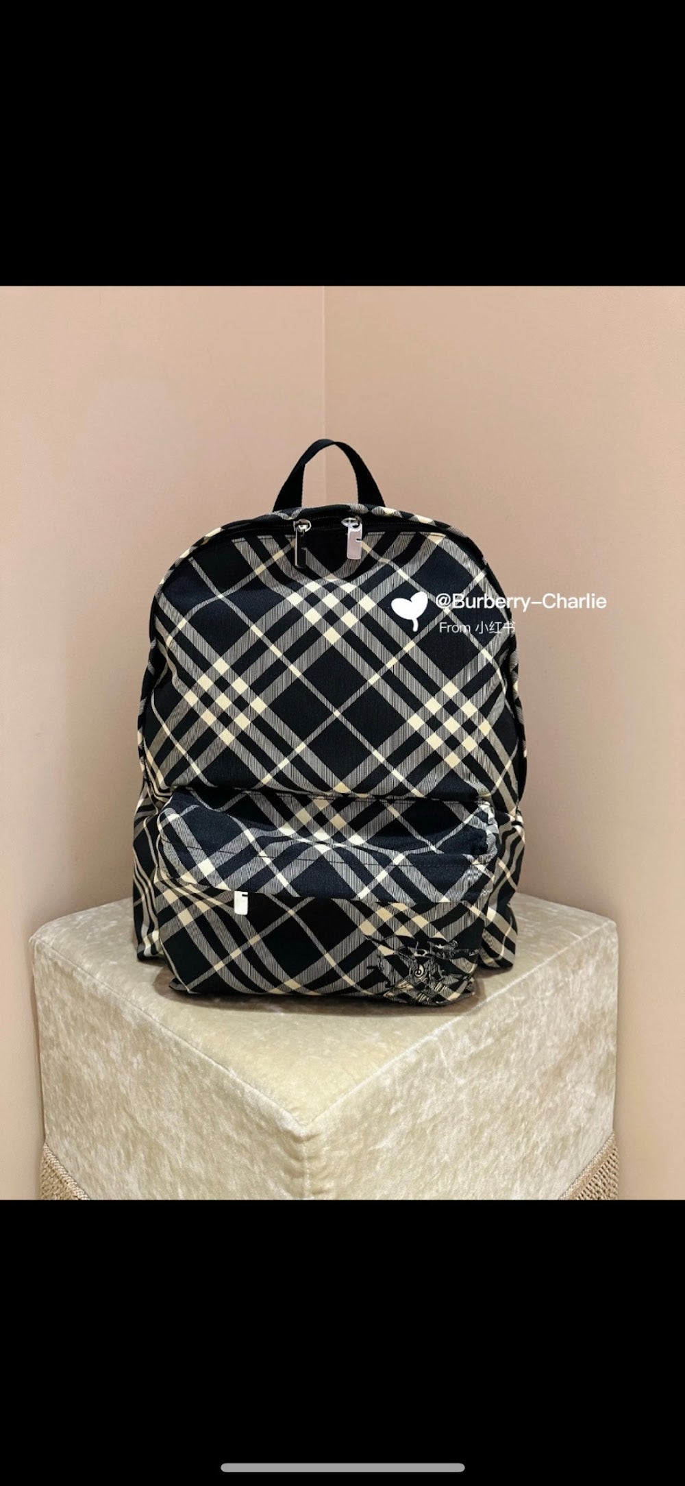 Dragons Bags Burberryn Luxury Bag --93134