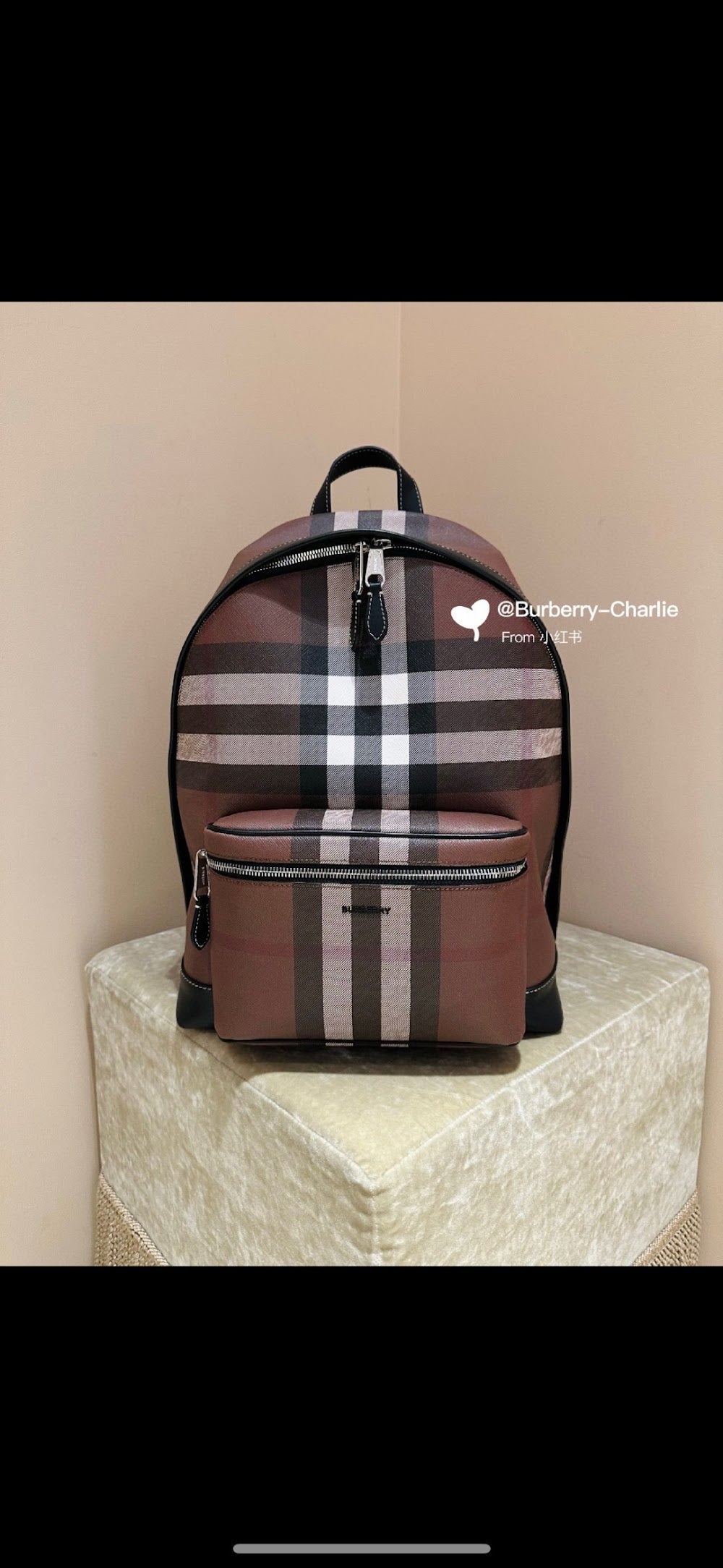 Dragons Bags Burberryn Luxury Bag --91649