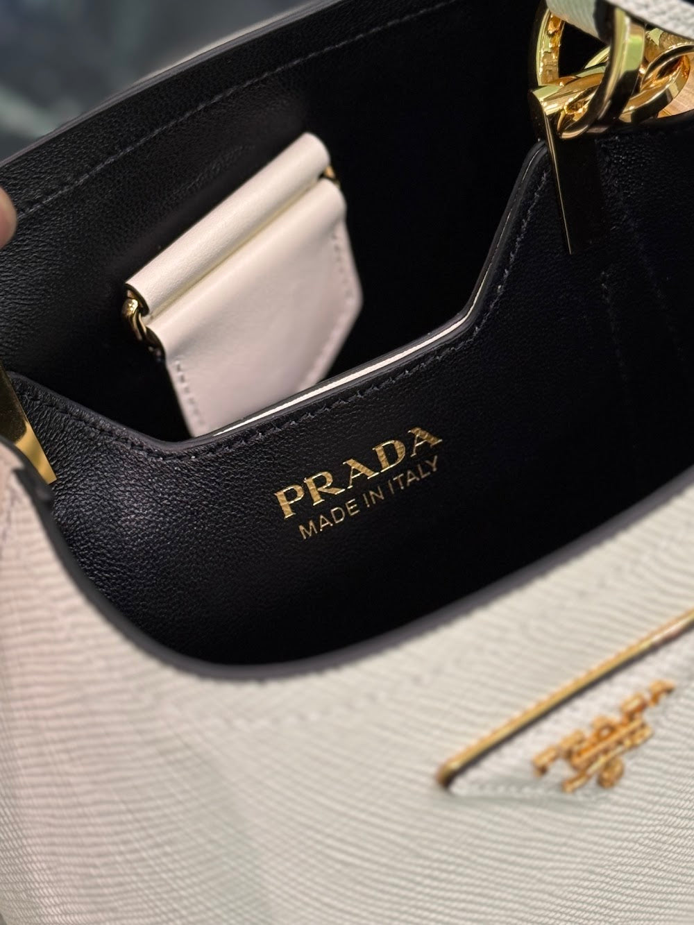 Dragons Bags Pradn Luxury Bag --102112