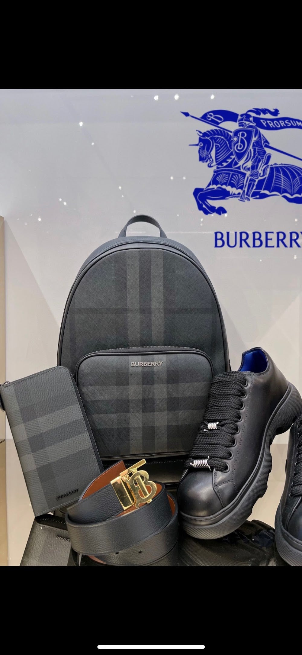 Dragons Bags Burberryn Luxury Bag --92248