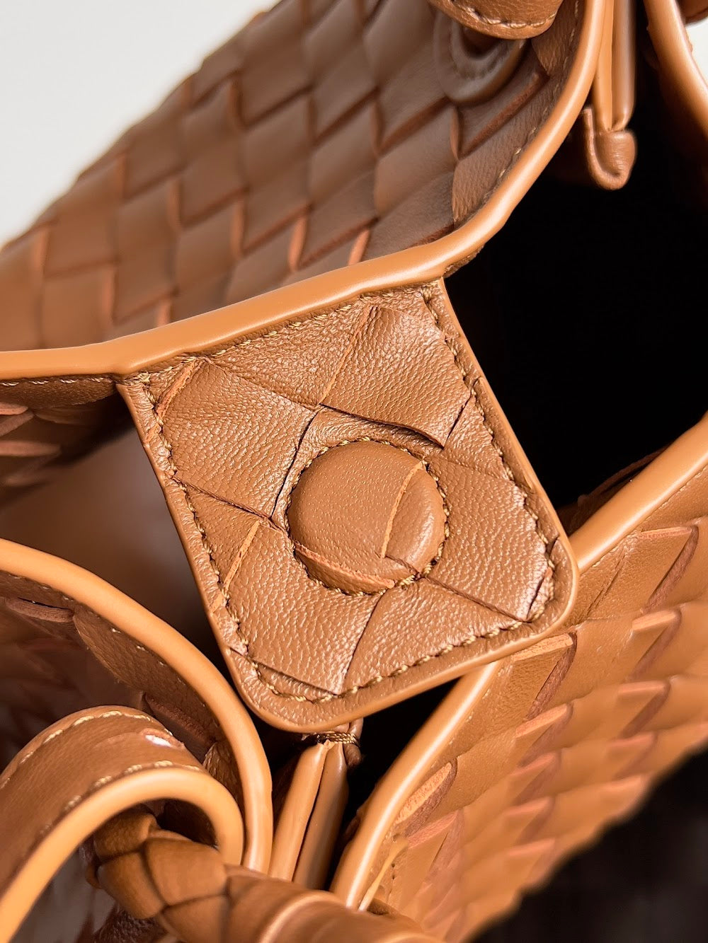 Dragons Bags Bottegan Luxury Bag --90949