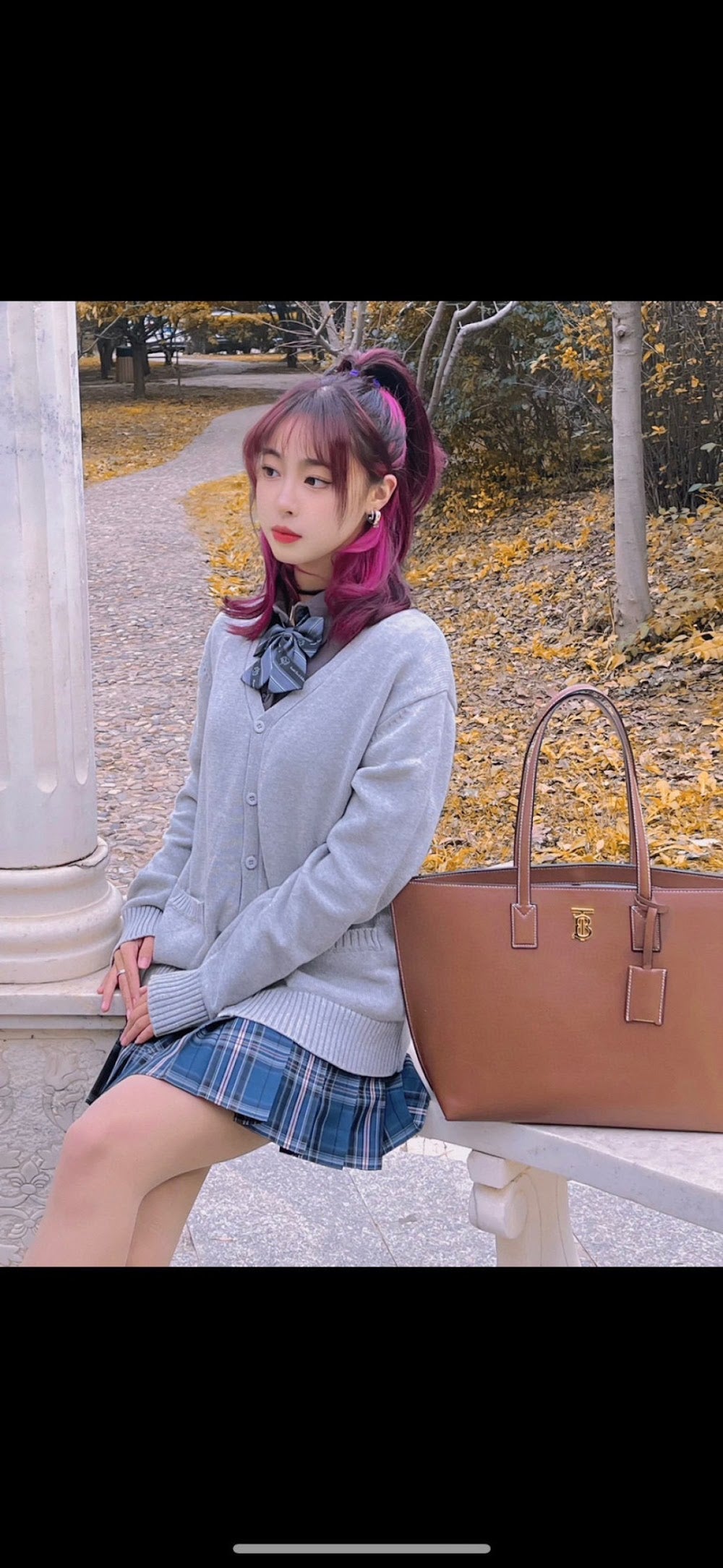 Dragons Bags Burberryn Luxury Bag --92444