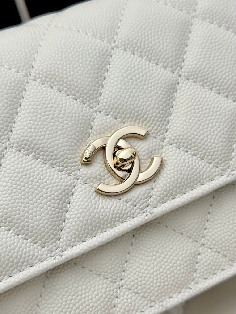 Dragons BagsCHn Luxury Bag --113796