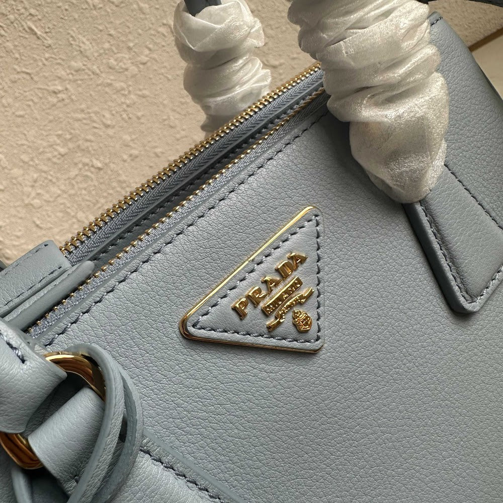 Dragons Bags Pradn Luxury Bag --102174