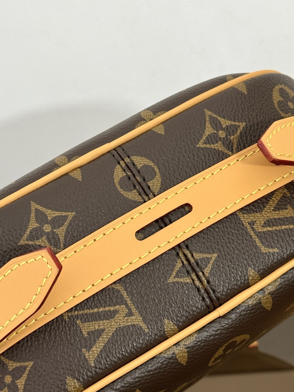 Dragons Bags ln Luxury Bag --96285
