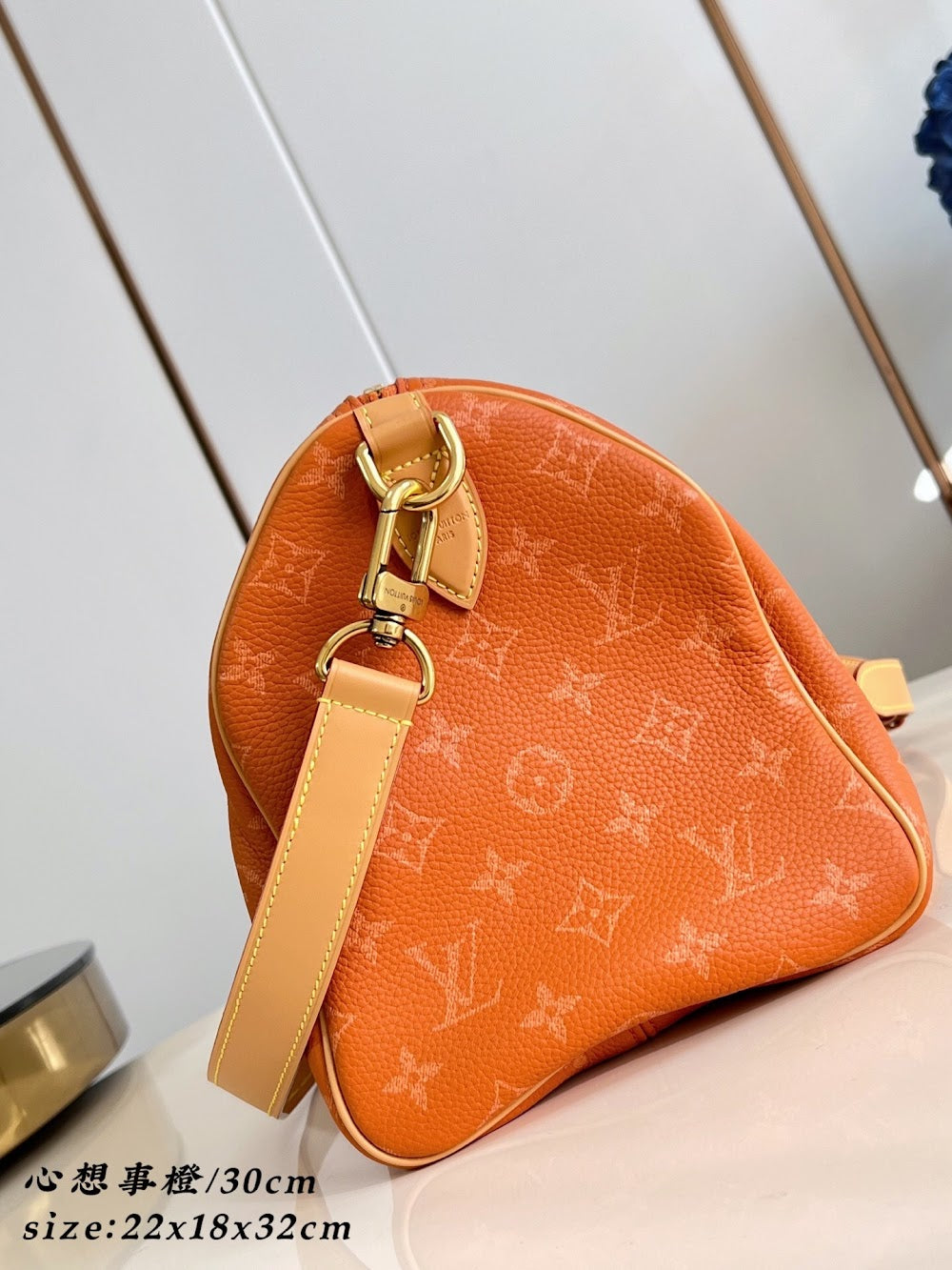 Dragons Bags ln Luxury Bag --96532