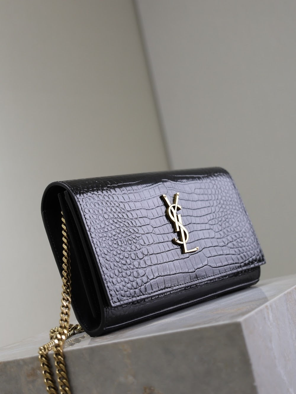 Dragons Bags YSLn Luxury Bag --119661