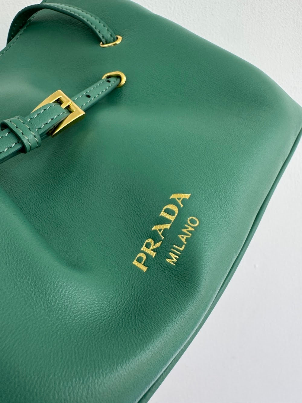 Dragons Bags Pradn Luxury Bag --101582