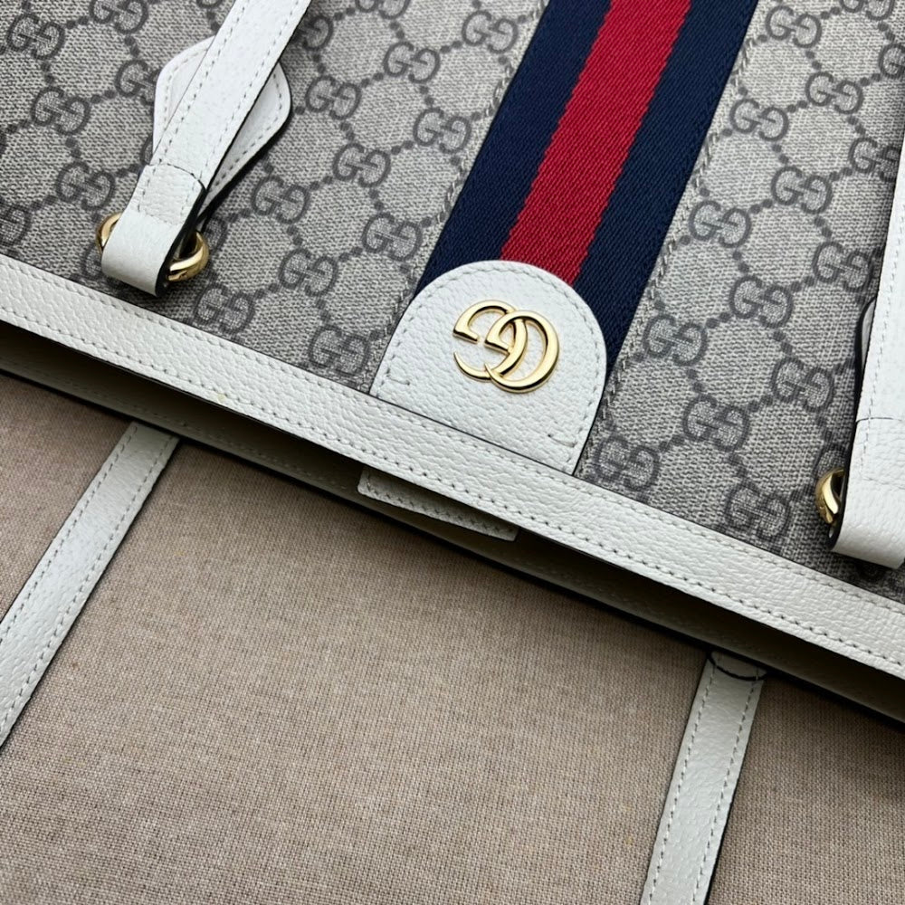 Dragons Bags Guccin Luxury Bag --95510