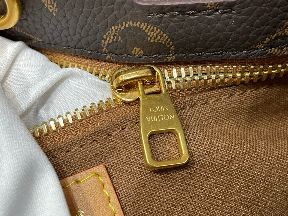 Dragons Bags ln Luxury Bag --95596
