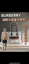new-luxury-designer-bags-nm5669