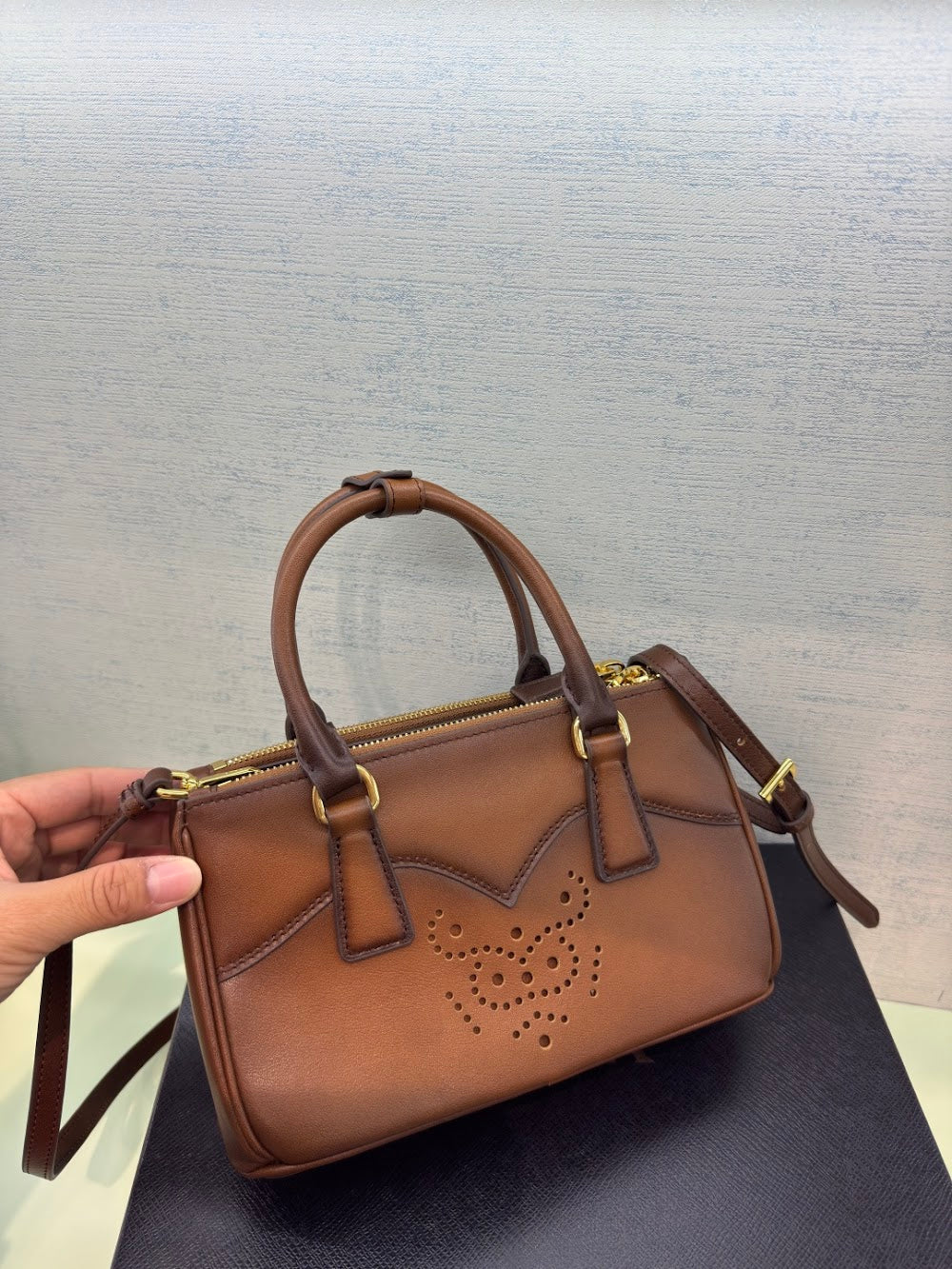 Dragons Bags Pradn Luxury Bag --102958