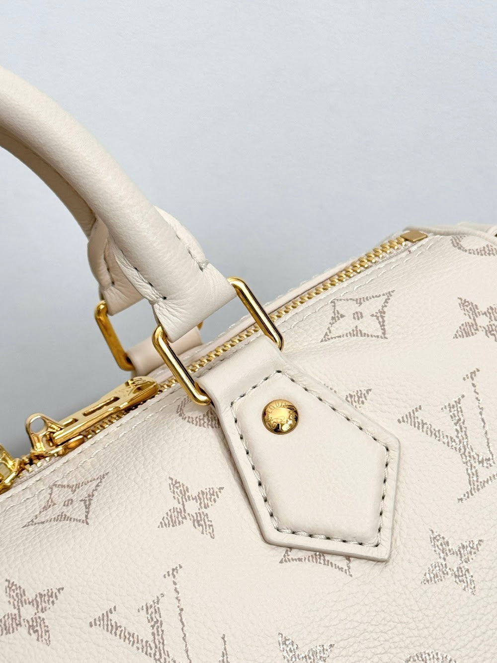 Dragons Bags ln Luxury Bag --96236