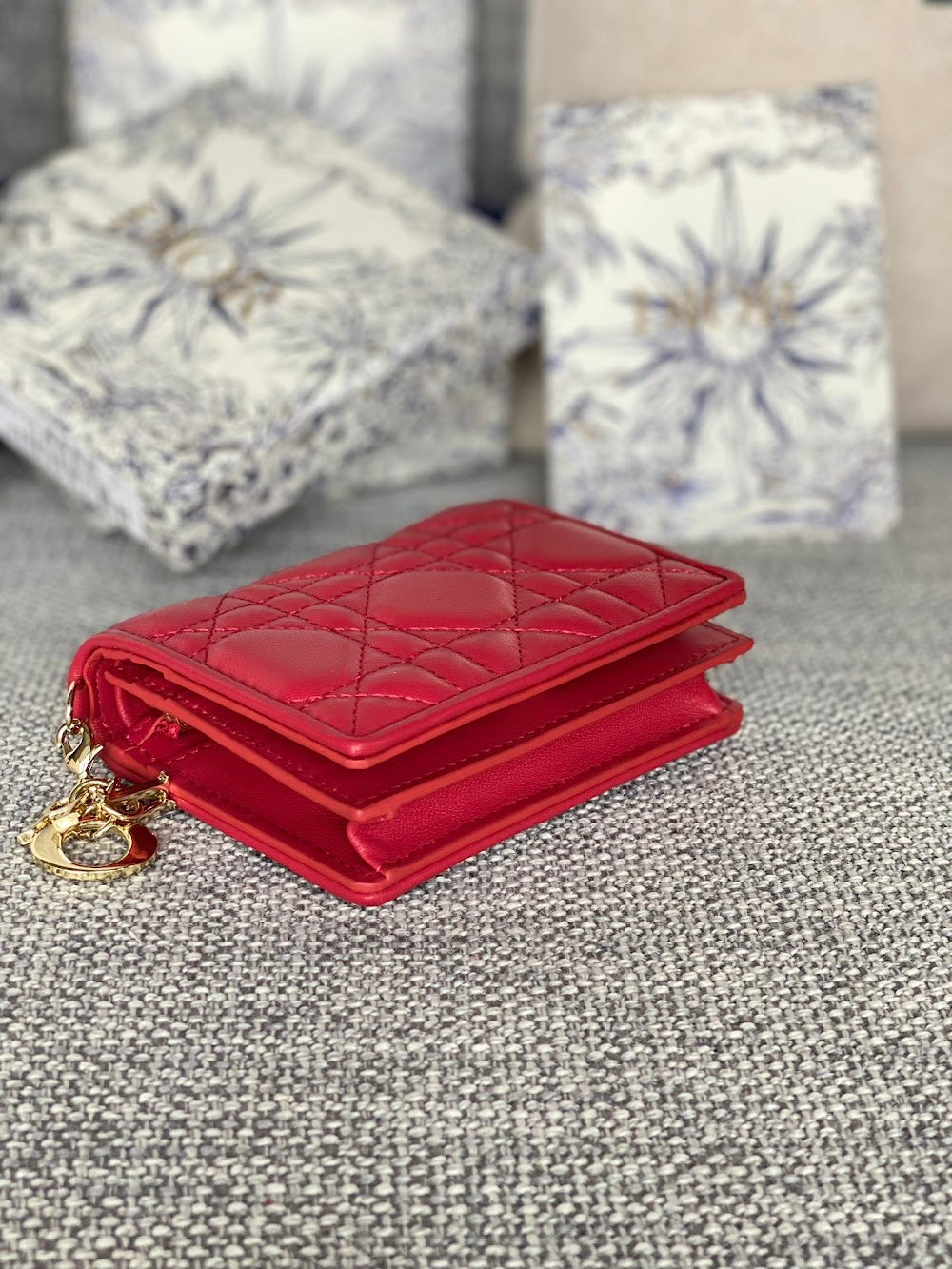 Dragons BagsDiorn Luxury Bag --115110